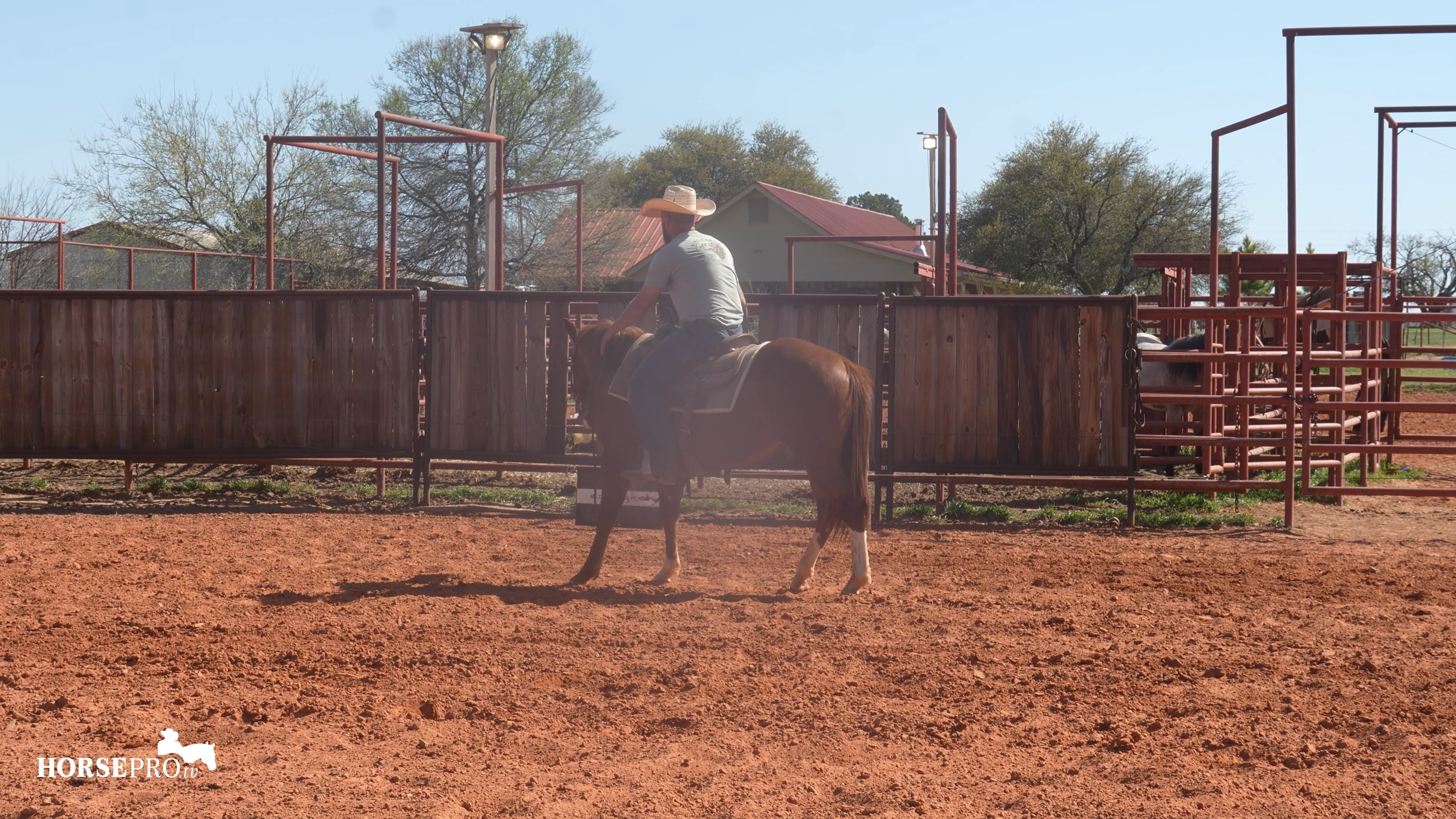 Episode 3: Week 3 on Cows