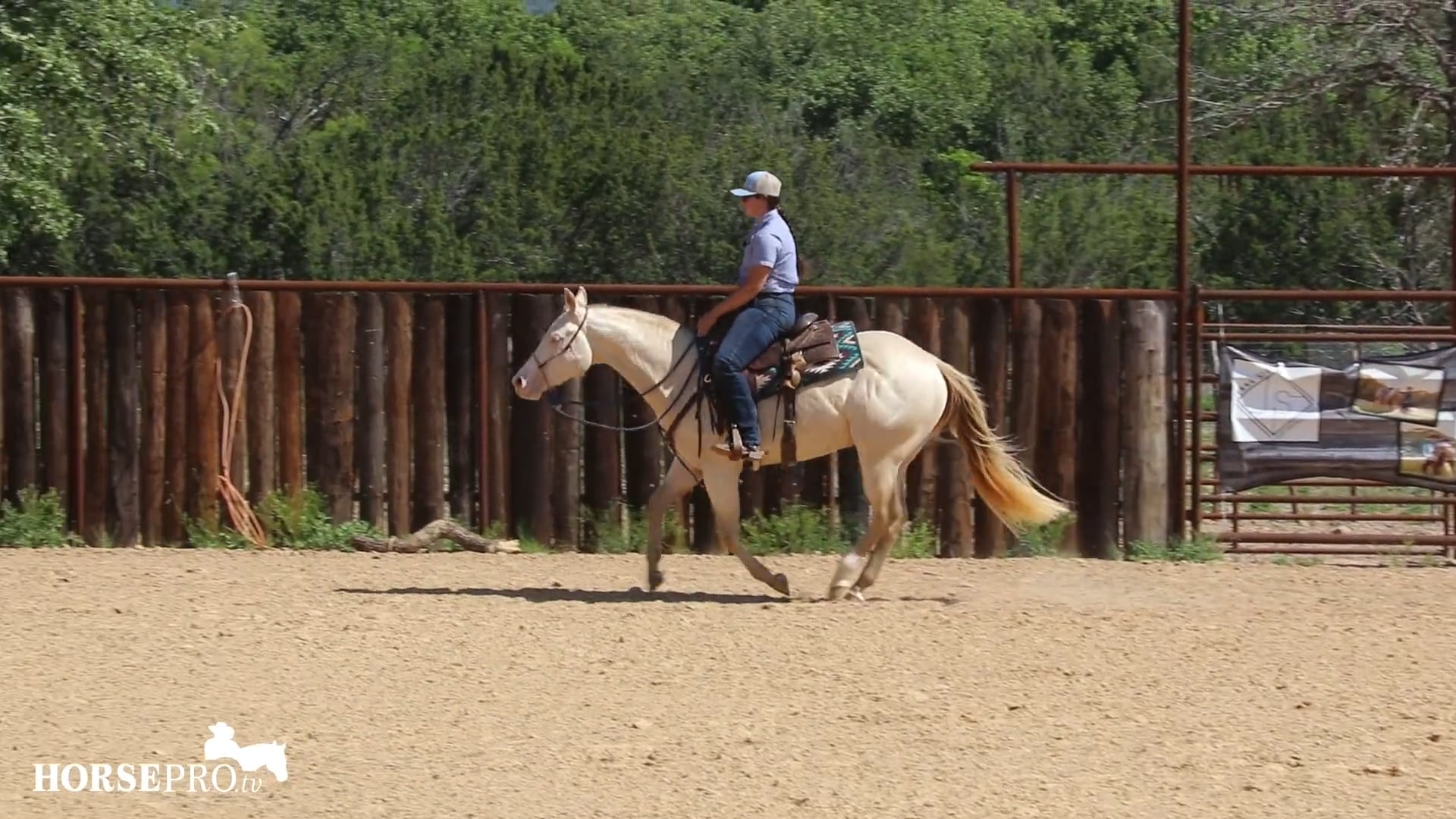 Episode 9: AQHA Pattern 13 Run Through
