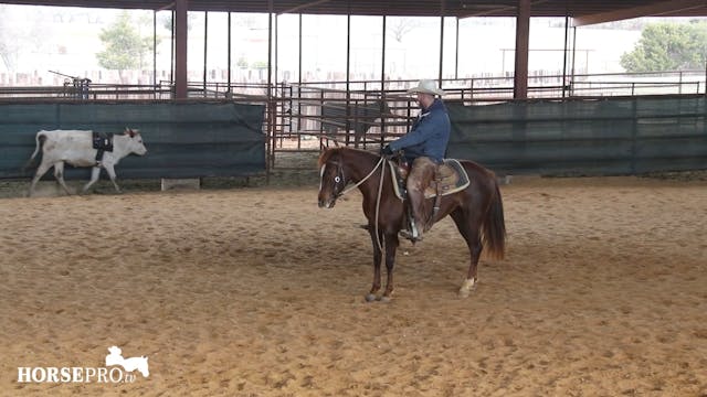 Episode 6: Queen L on a Cow for the F...