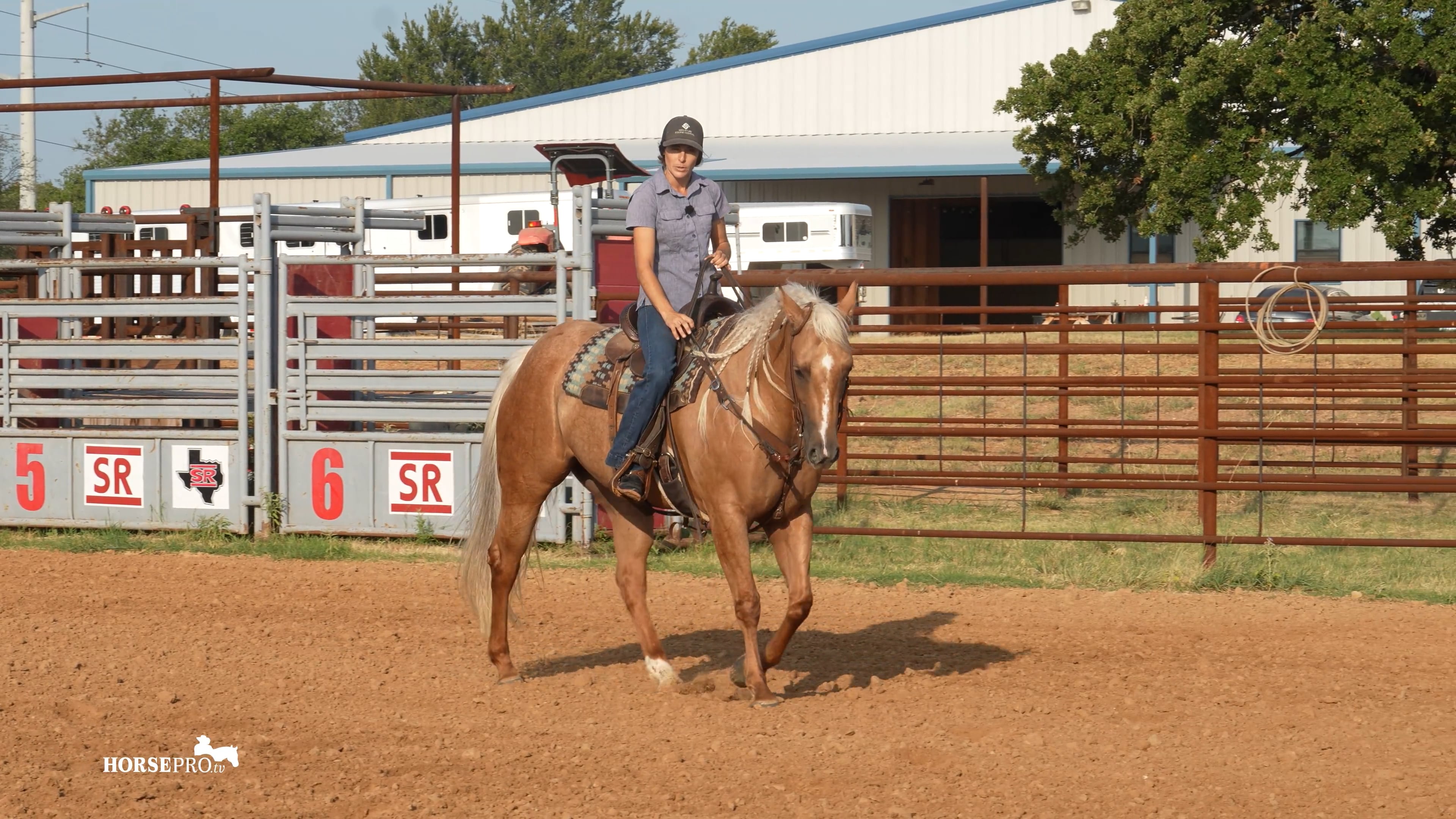 Episode 4: Working a 4 Year Old Futurity Horse