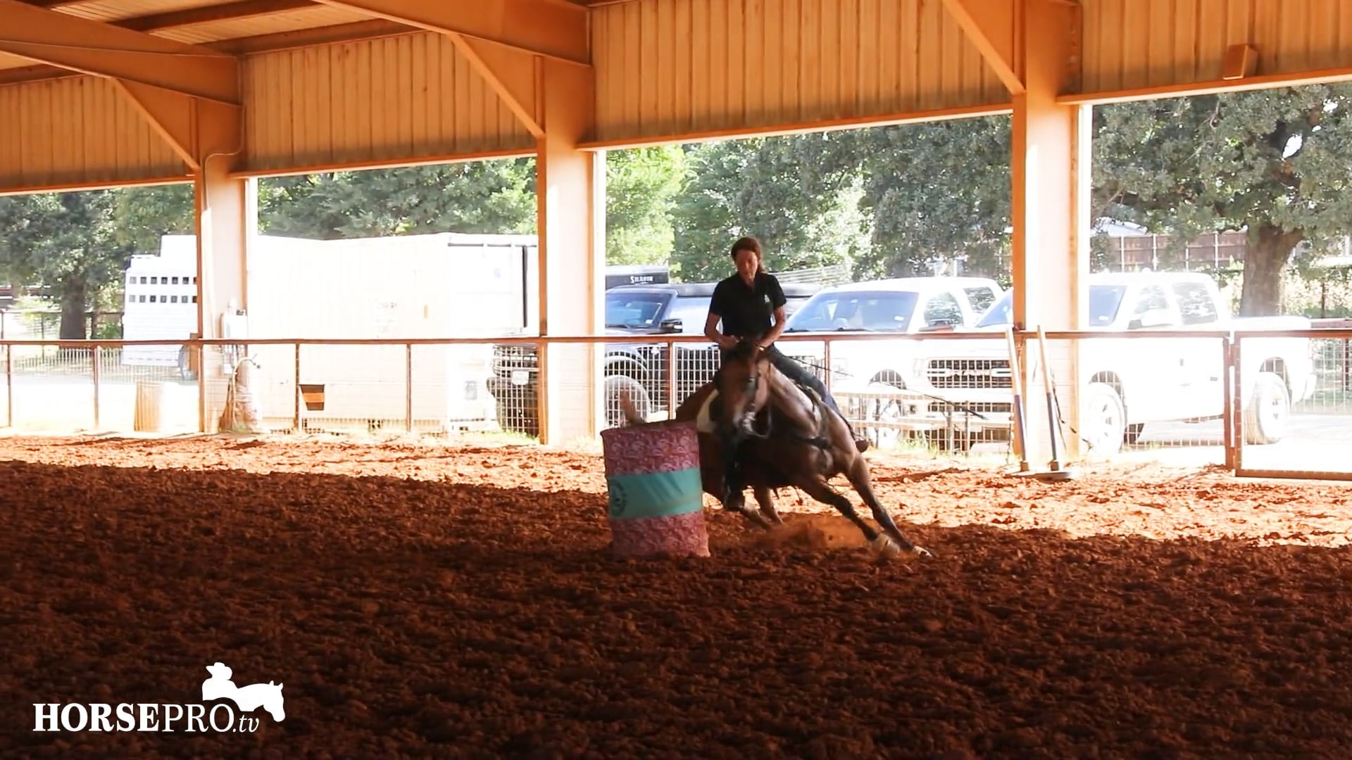 Episode 23: Working a Horse that Doesn’t Like Rider Input