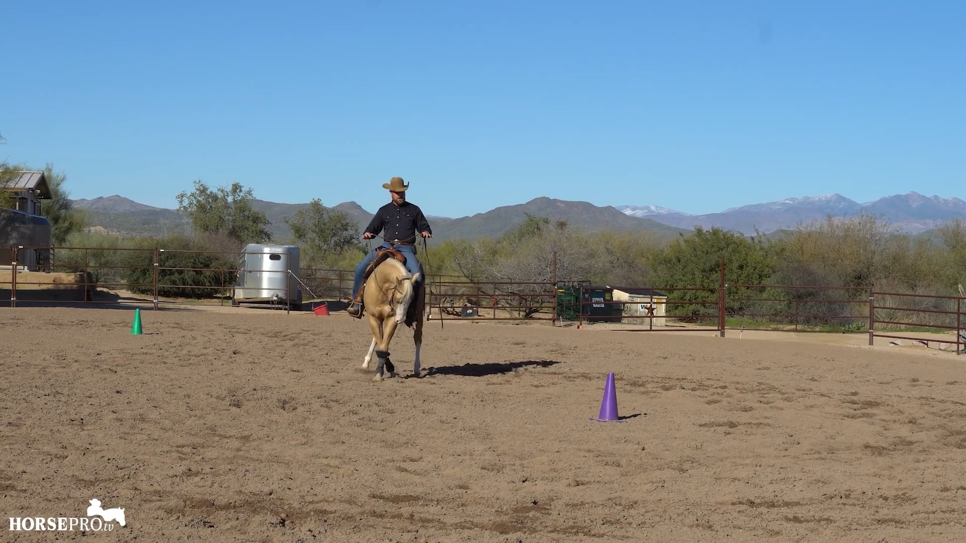 Episode 3: Gaining Body Control and Softness