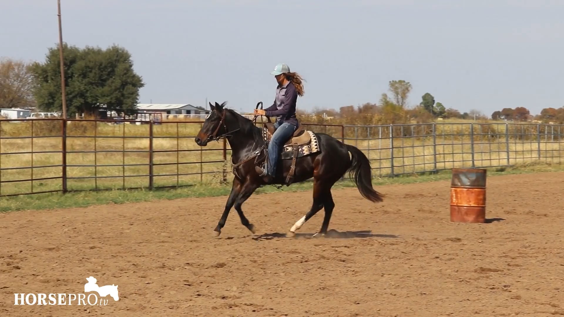 Ashley Working Two Year Old "Halo"