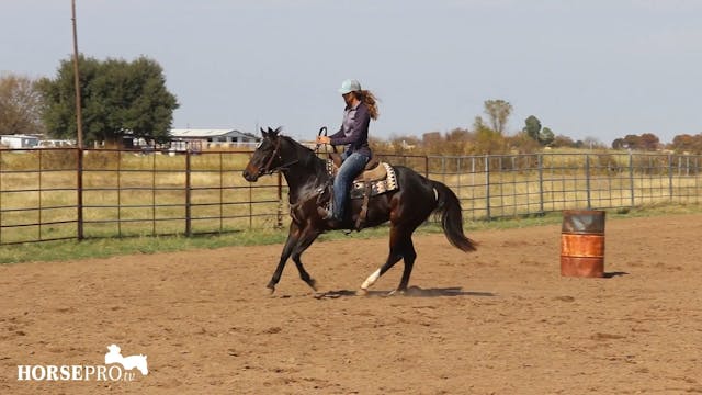 Ashley Working Two Year Old "Halo"