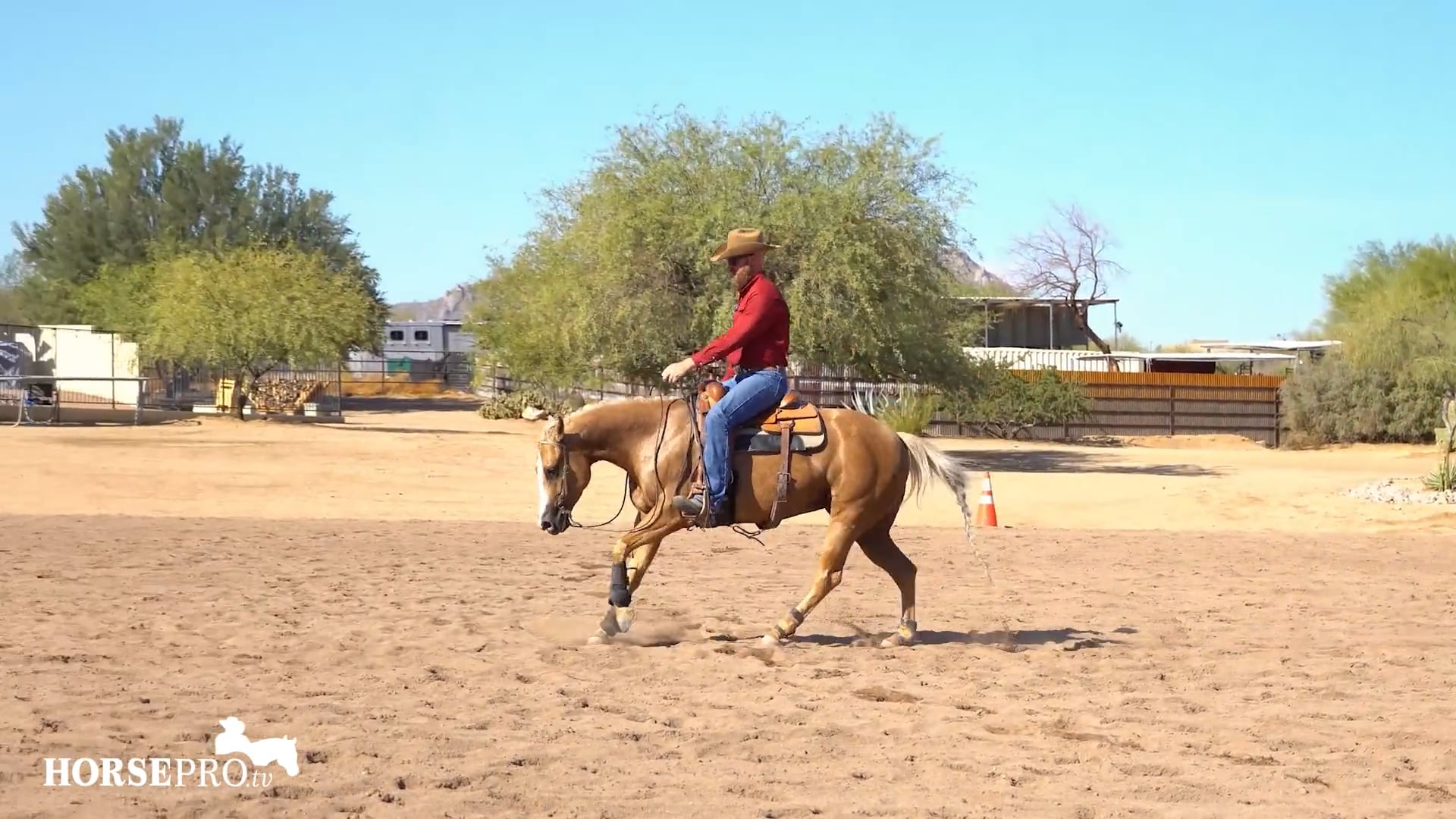 Episode 22: Exercise to Keep a Horse Relaxed Running Down