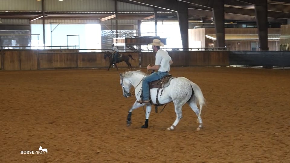 Episode 13: Getting a Youth Horse Tuned Up for a Show