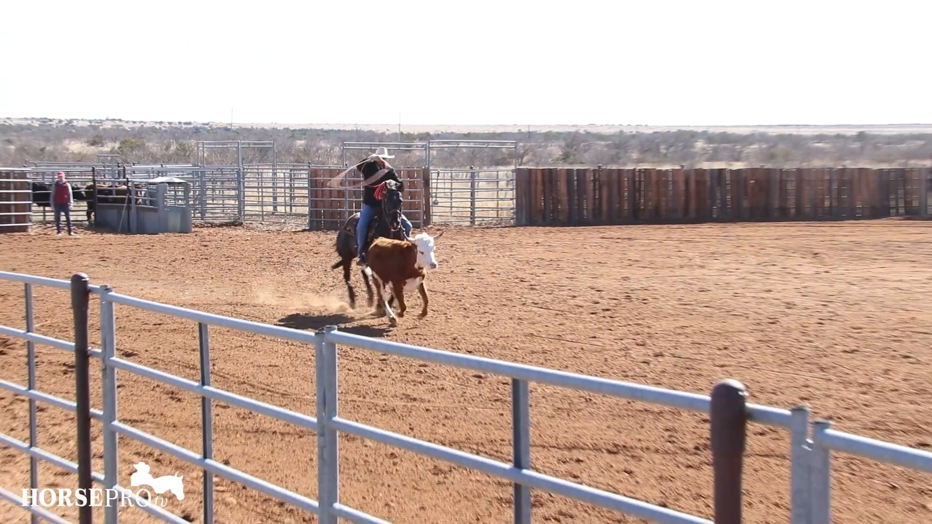 Reading Cattle Out of the Box Part 2