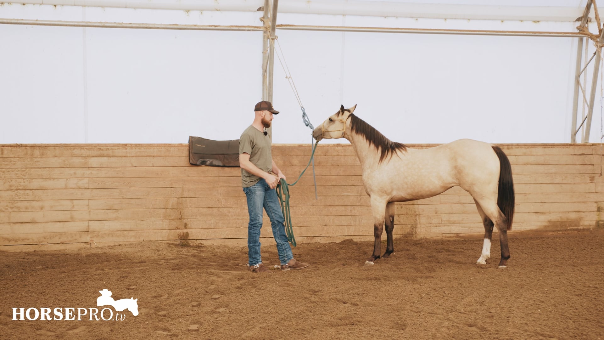 Episode 18: Working with a Colt and Picking up the Feet