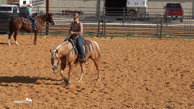 Episode 3: Warm Up in a Busy Show Pen