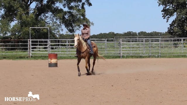 Ashley Schafer Working Kid
