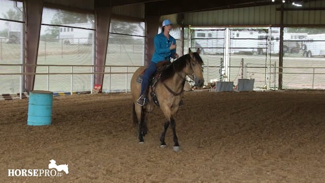 Working a Large Horse on the Pattern