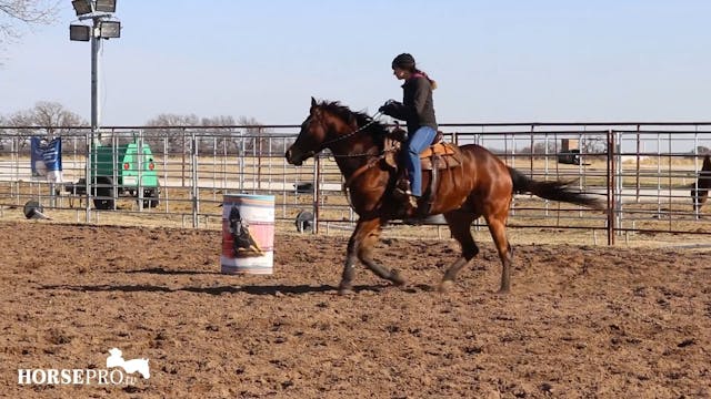 Ashley Working Buzz