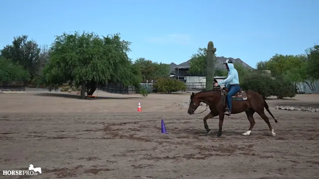 Episode 12: Five Cone Exercise