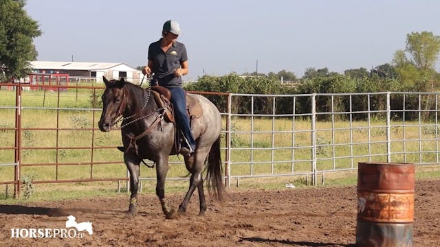 Using Draw Reins on Cody