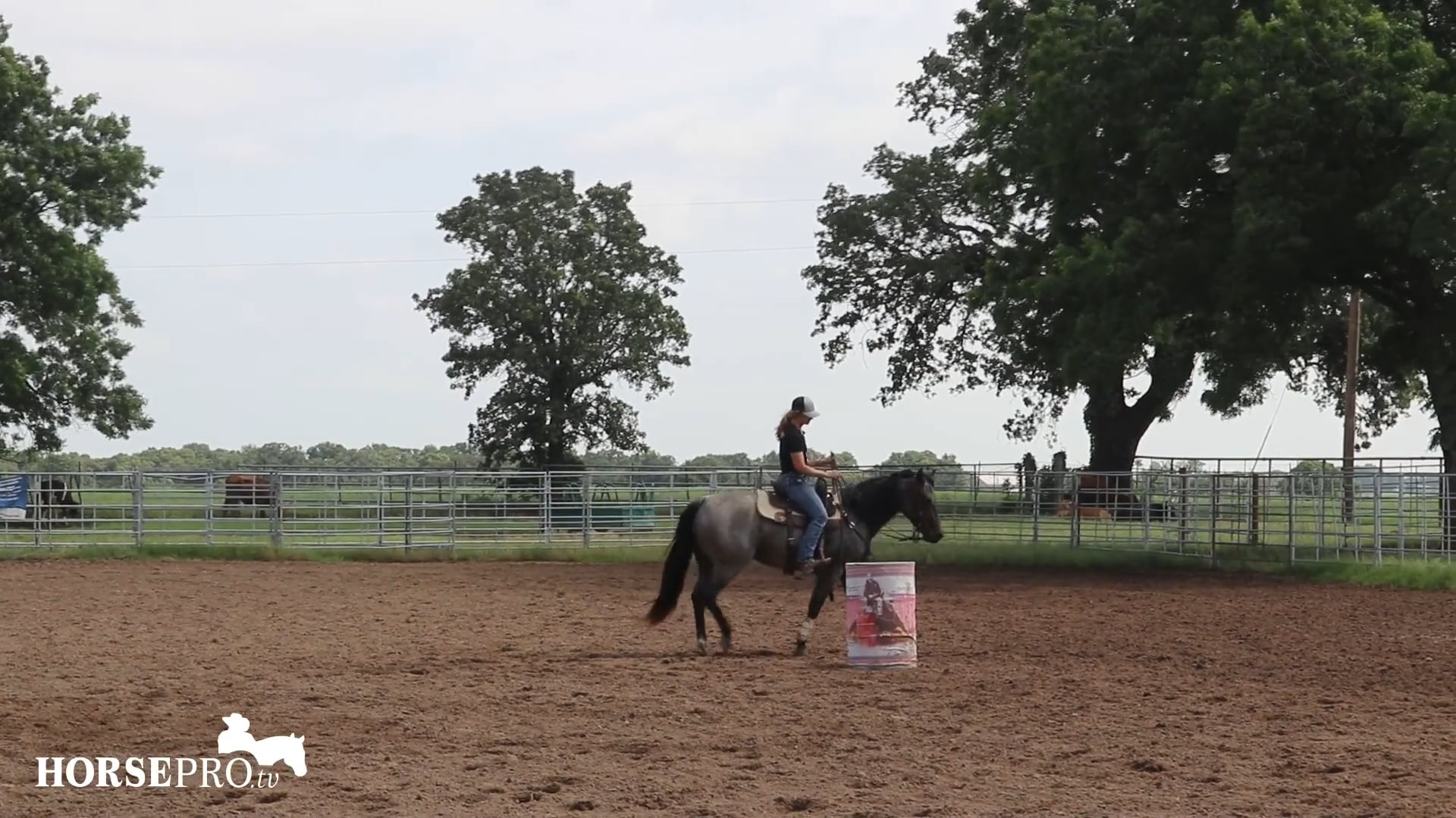 Ashley Working Summer