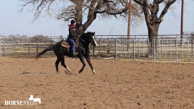 Ashley Training a Young Horse