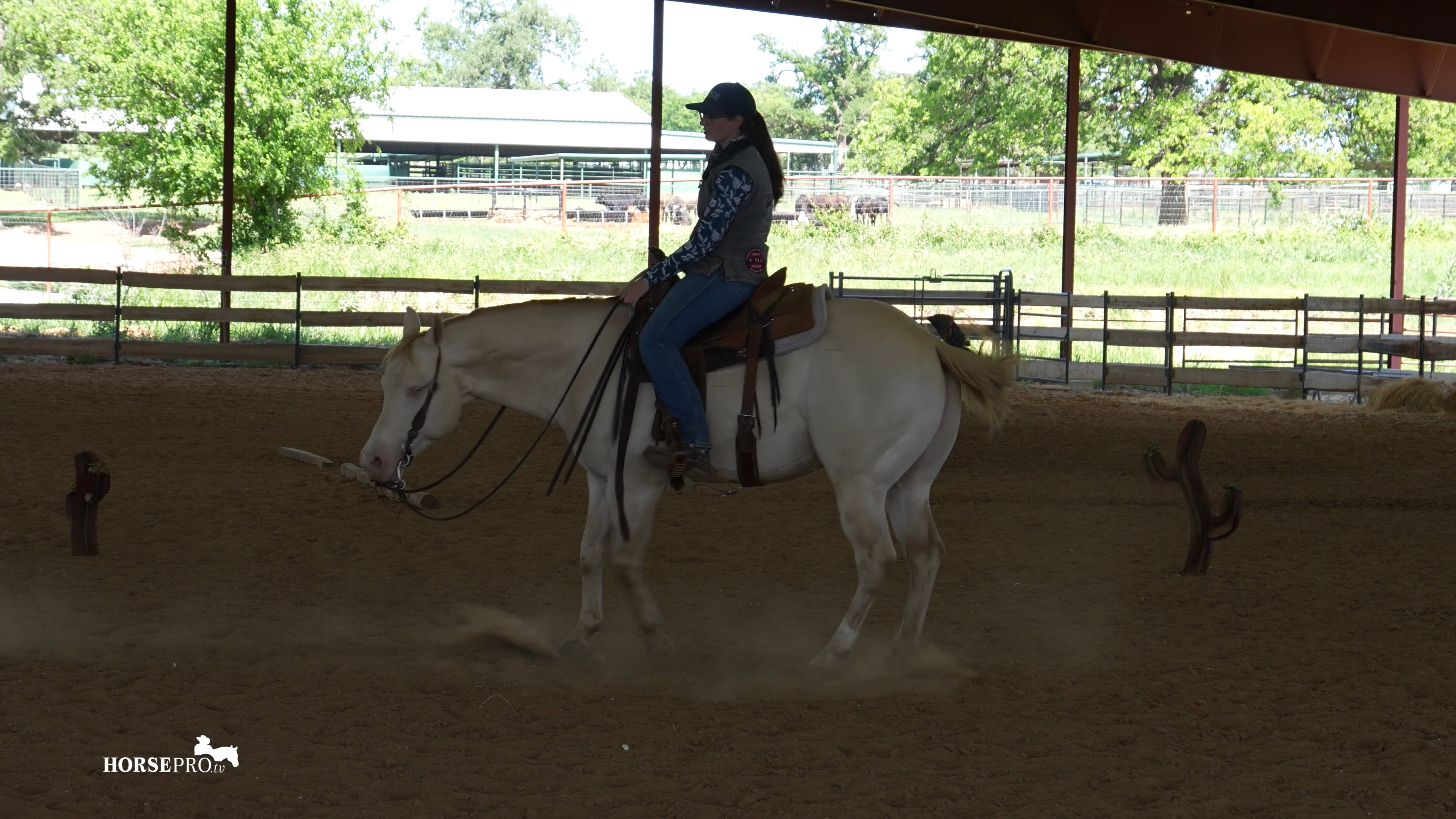 Episode 5: Increasing Responsiveness in the Turn Around and Lope