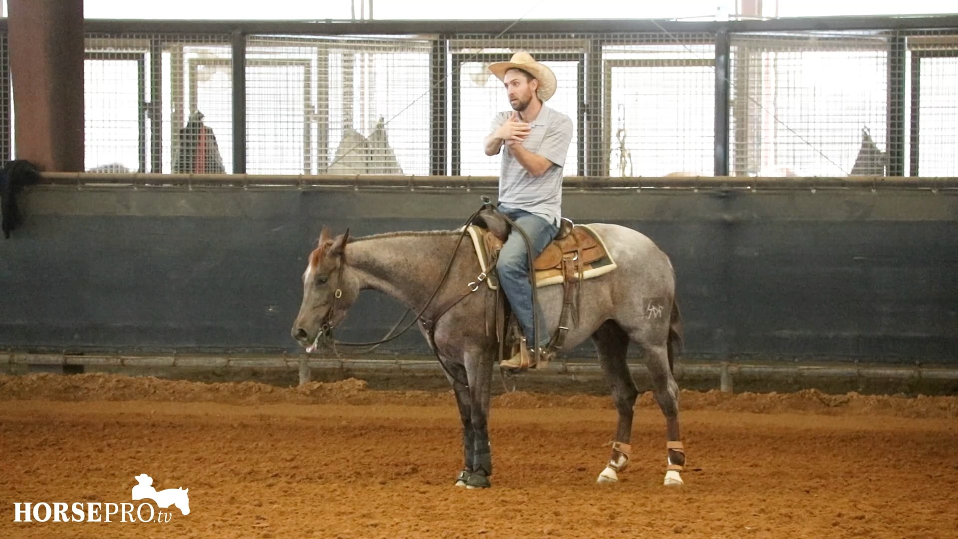 Episode 9: Fence Work with a 4 Year Old