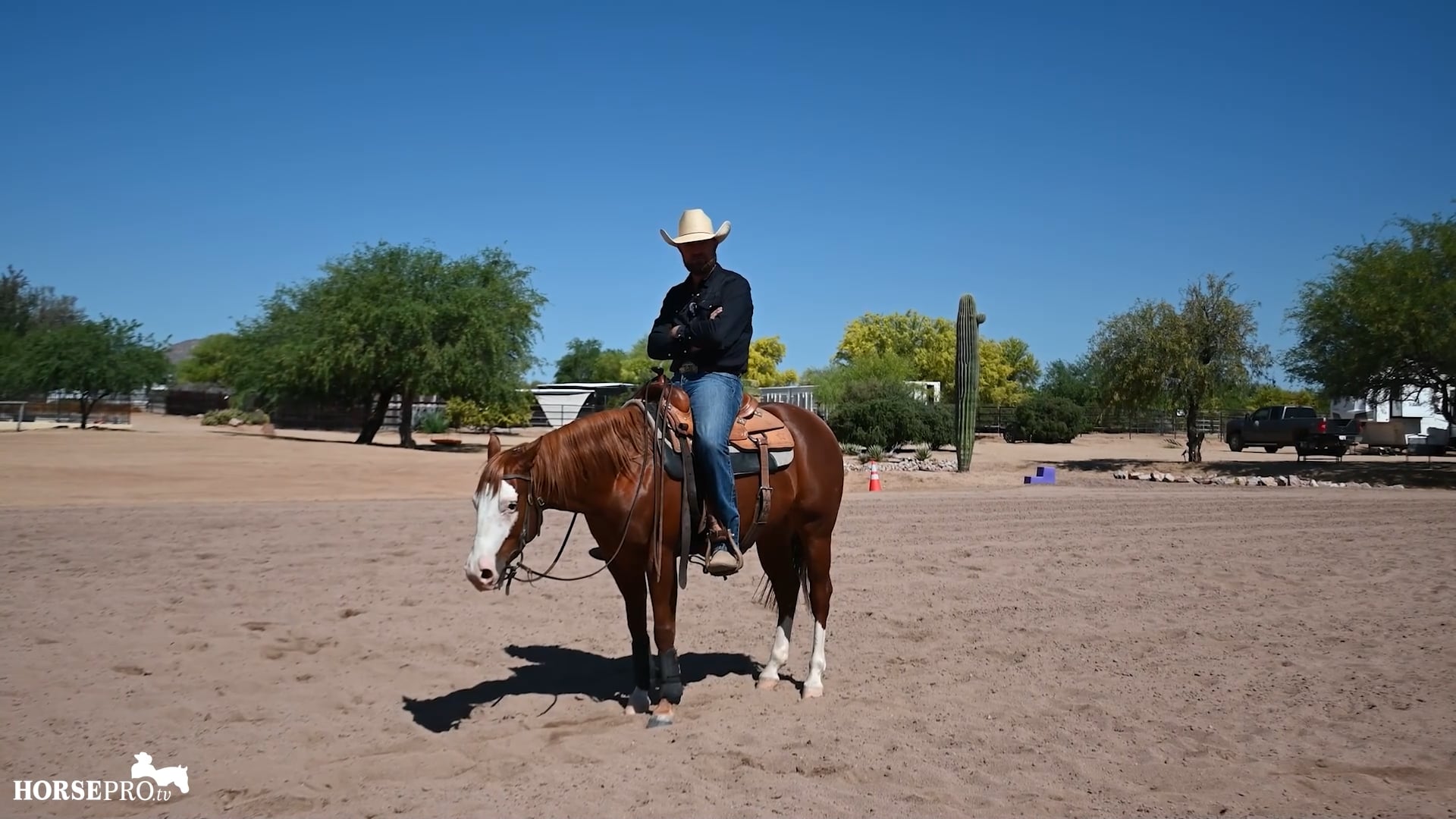 Episode 11: Training Business Advice and Doing for the Horse