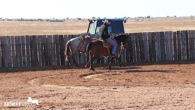 Working a Pushy Colt Using a Second H...