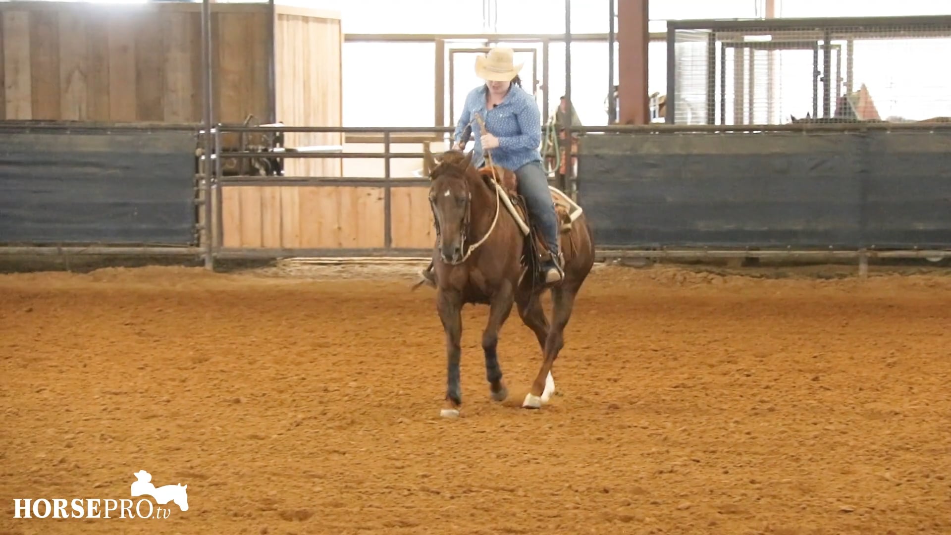 Episode 10: Routine for Older Horses to Work on Reining