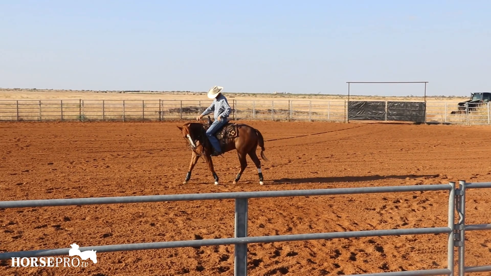 Warming Up a Horse in a New Bit