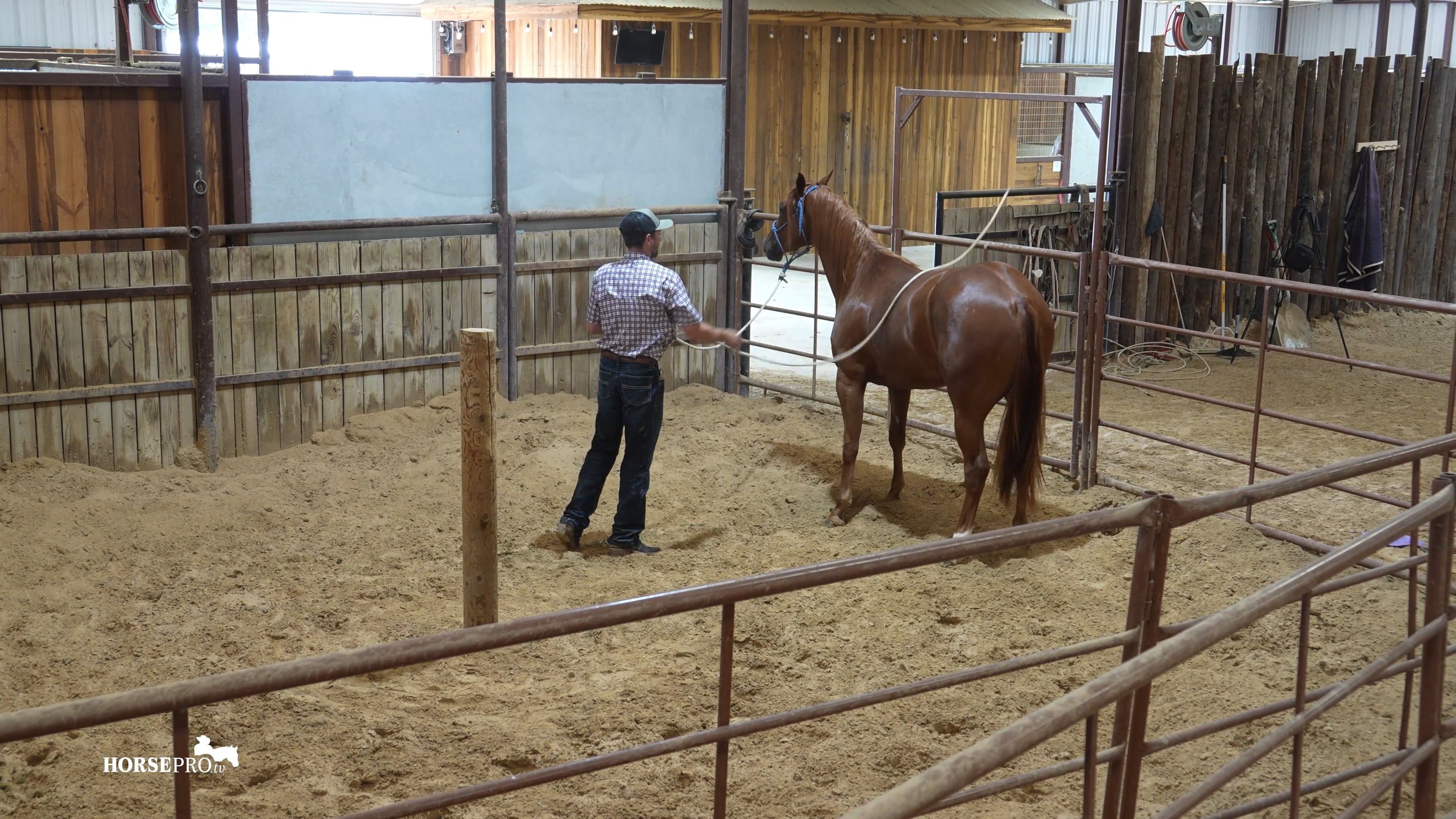 Episode 2: Catching a Horse and Post Pen with a Barrel Horse
