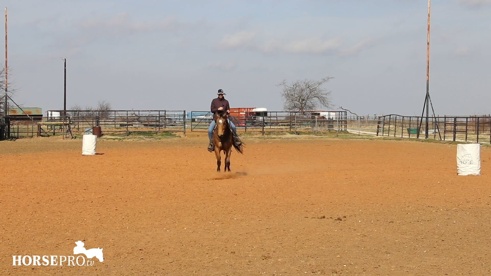 Beginning Pattern Work with a Large Young Horse