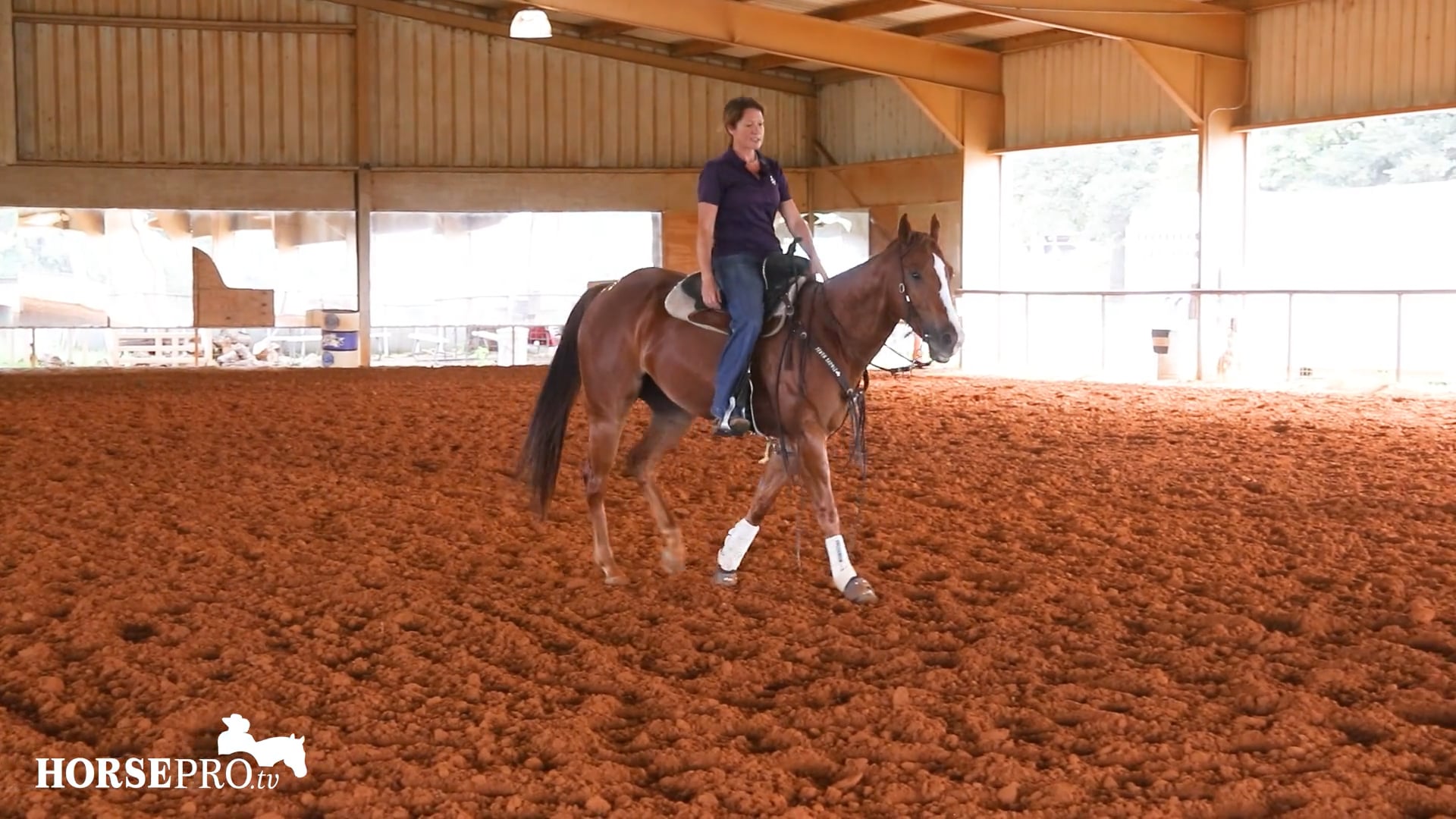 Episode 20: Quickening the Footwork of a 5 Year Old Futurity Horse