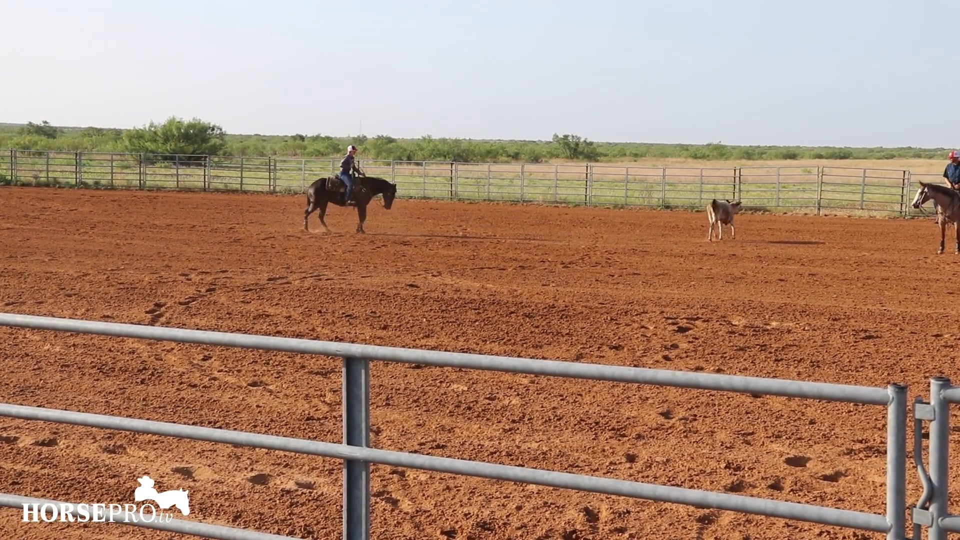 Preparing for Ranch Versatility Show--Box Rate Class