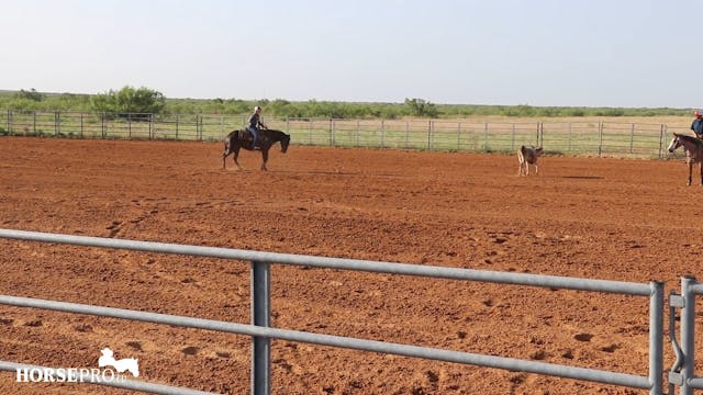 Preparing for Ranch Versatility Show-...