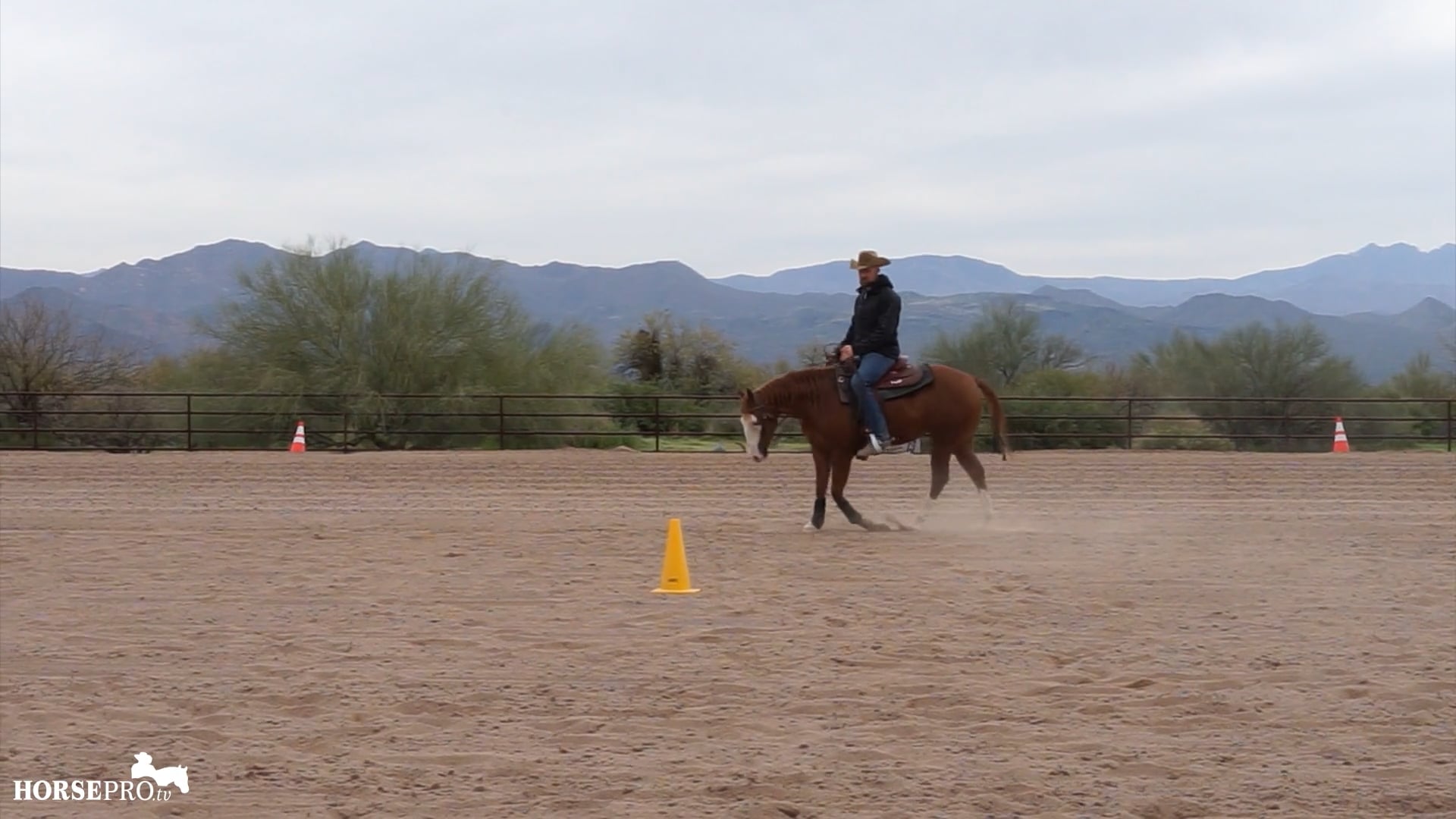 Episode 6: Working on Softness in the Body