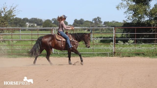 Working on Rate with Shania