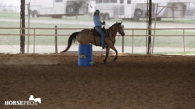 Continuing to Help a Horse Stay Patie...