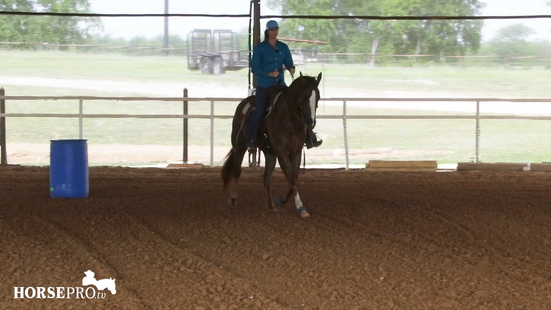 Bringing Back a Larger Horse for the 5 Year Old Year