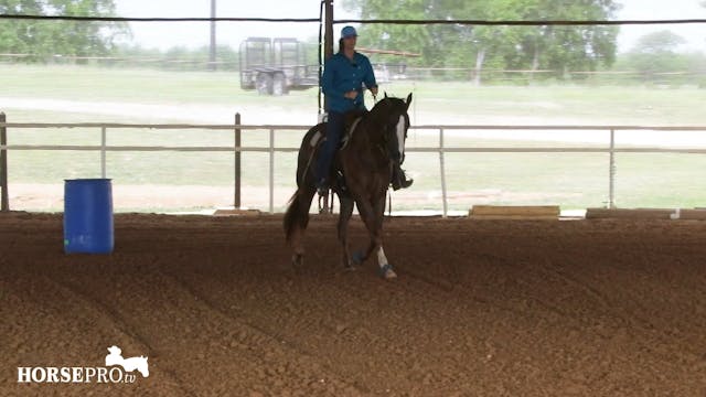 Bringing Back a Larger Horse for the ...