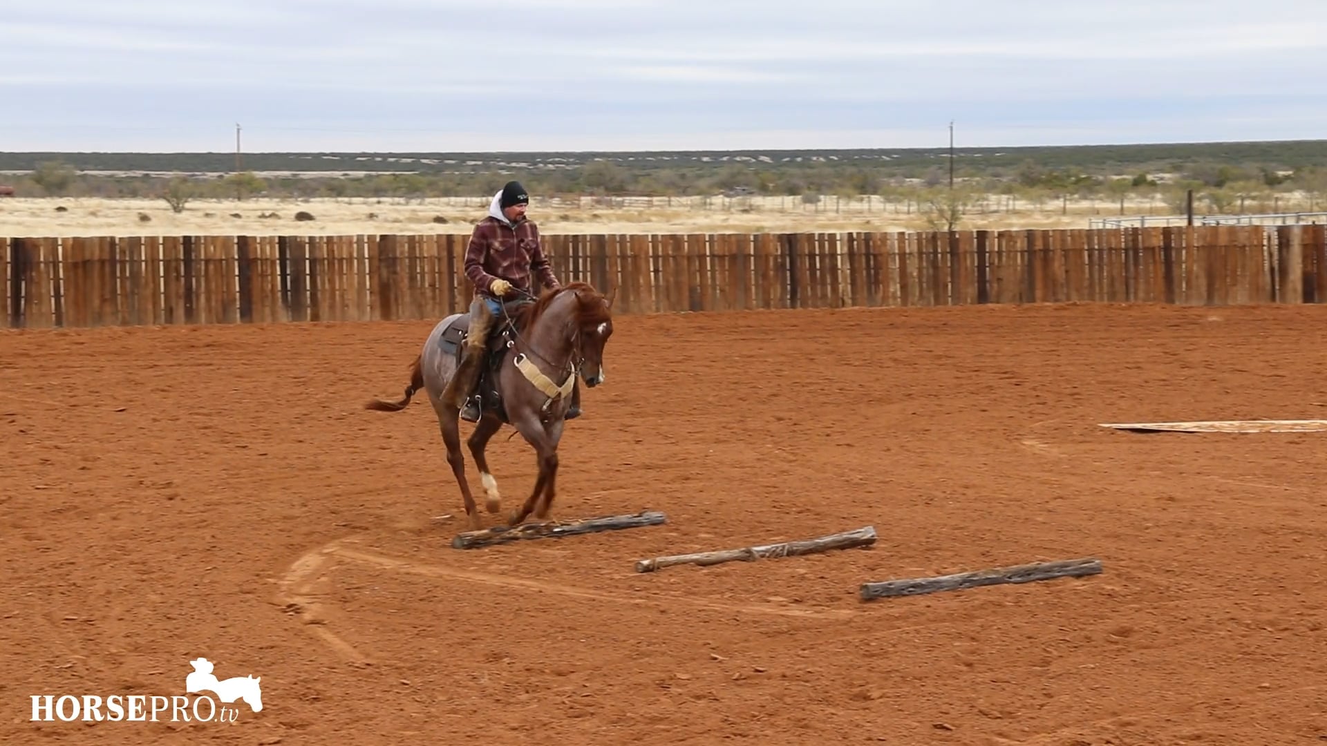 Lope Overs on a Green Trail Horse