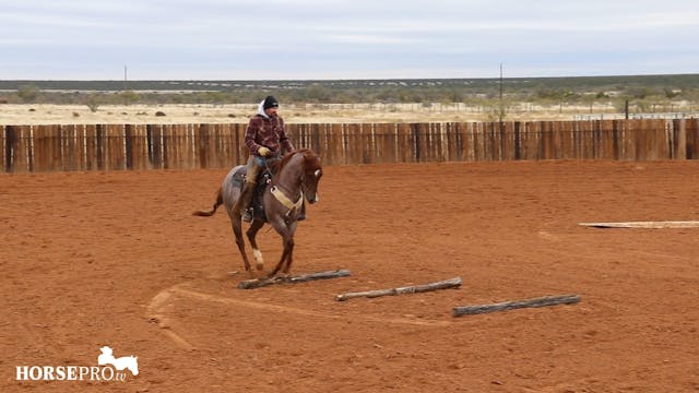 Lope Overs on a Green Trail Horse