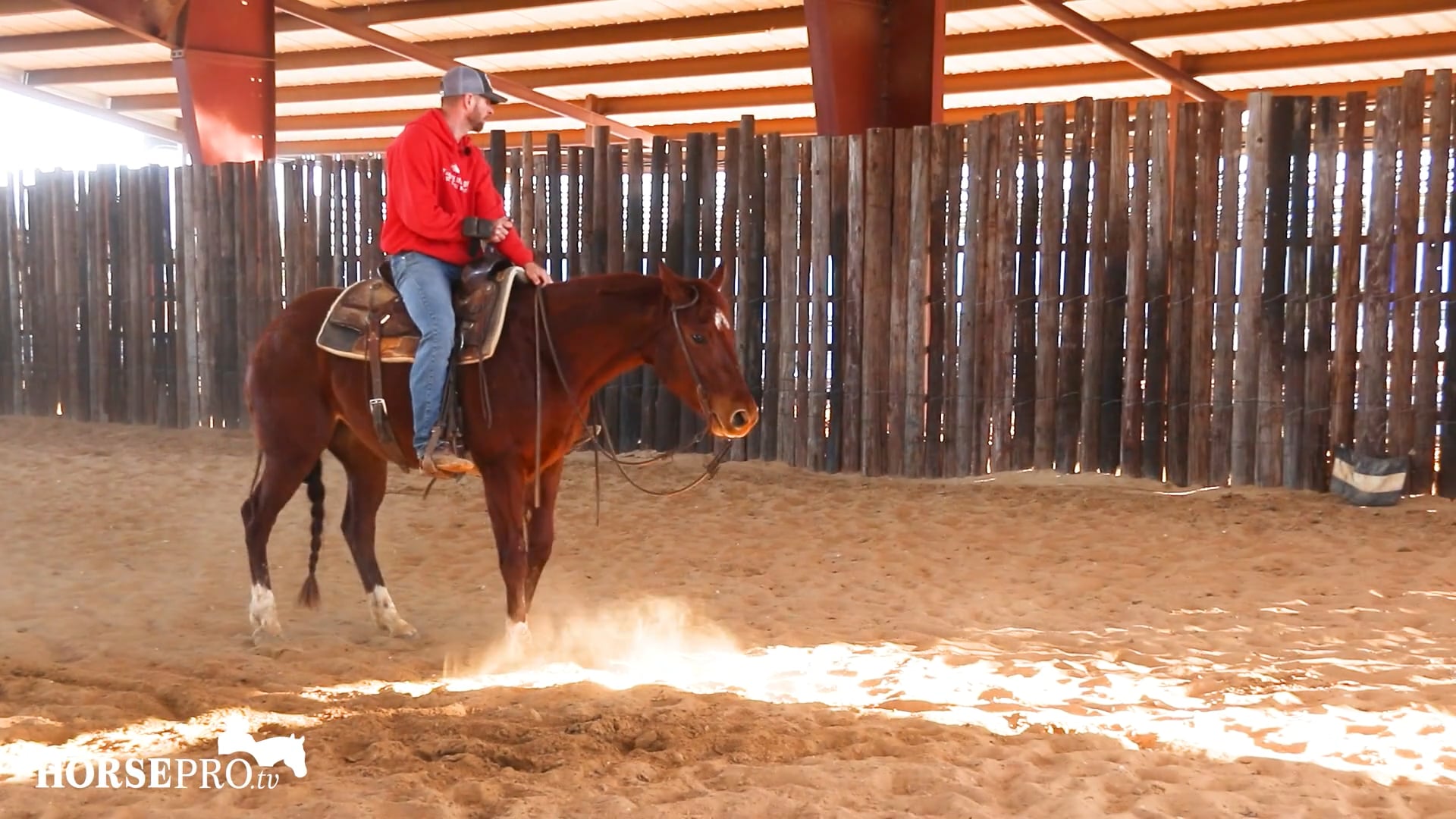 Episode 5: Ranch Mare on the Flag
