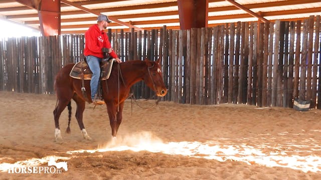 Episode 5: Ranch Mare on the Flag