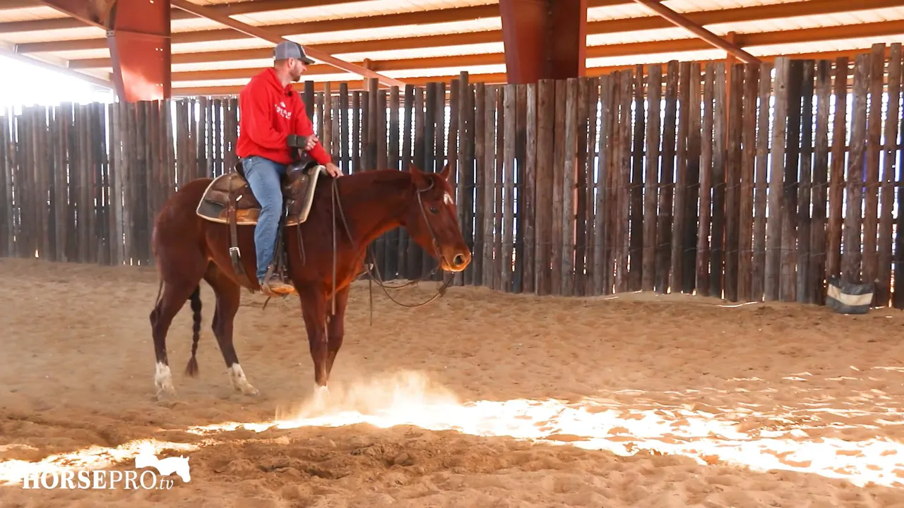 Episode 5: Ranch Mare on the Flag - 2023 Season - HORSEpro TV