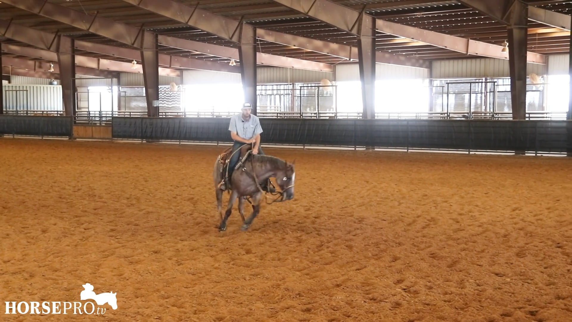 Episode 24: Getting a Horse Less Tight on a Cow