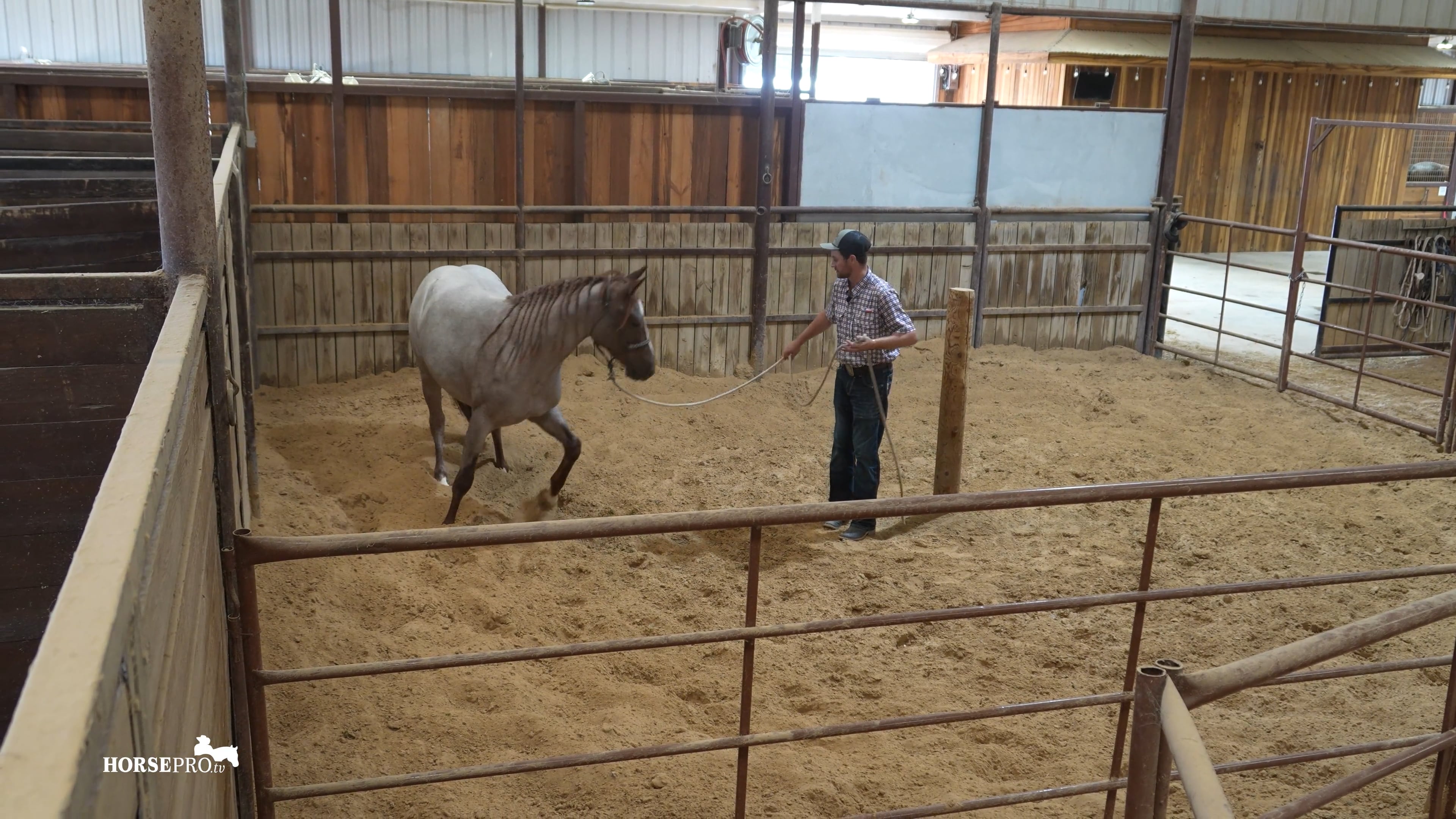 Episode 3: Post Pen with a Cutting Horse