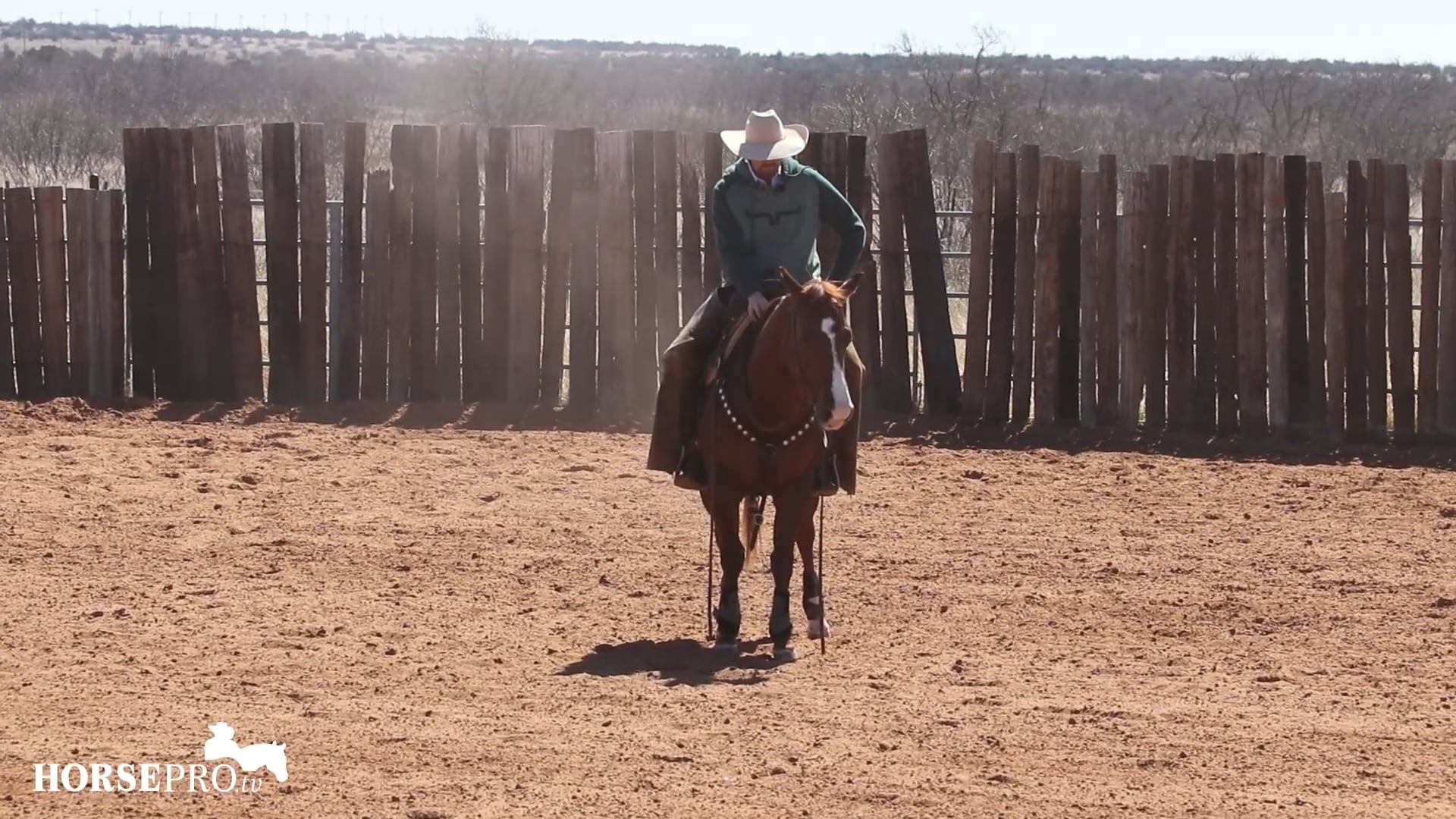 Working a 5 Year Old Derby Horse to Prep for Shows
