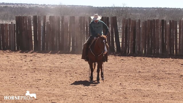 Working a 5 Year Old Derby Horse to P...