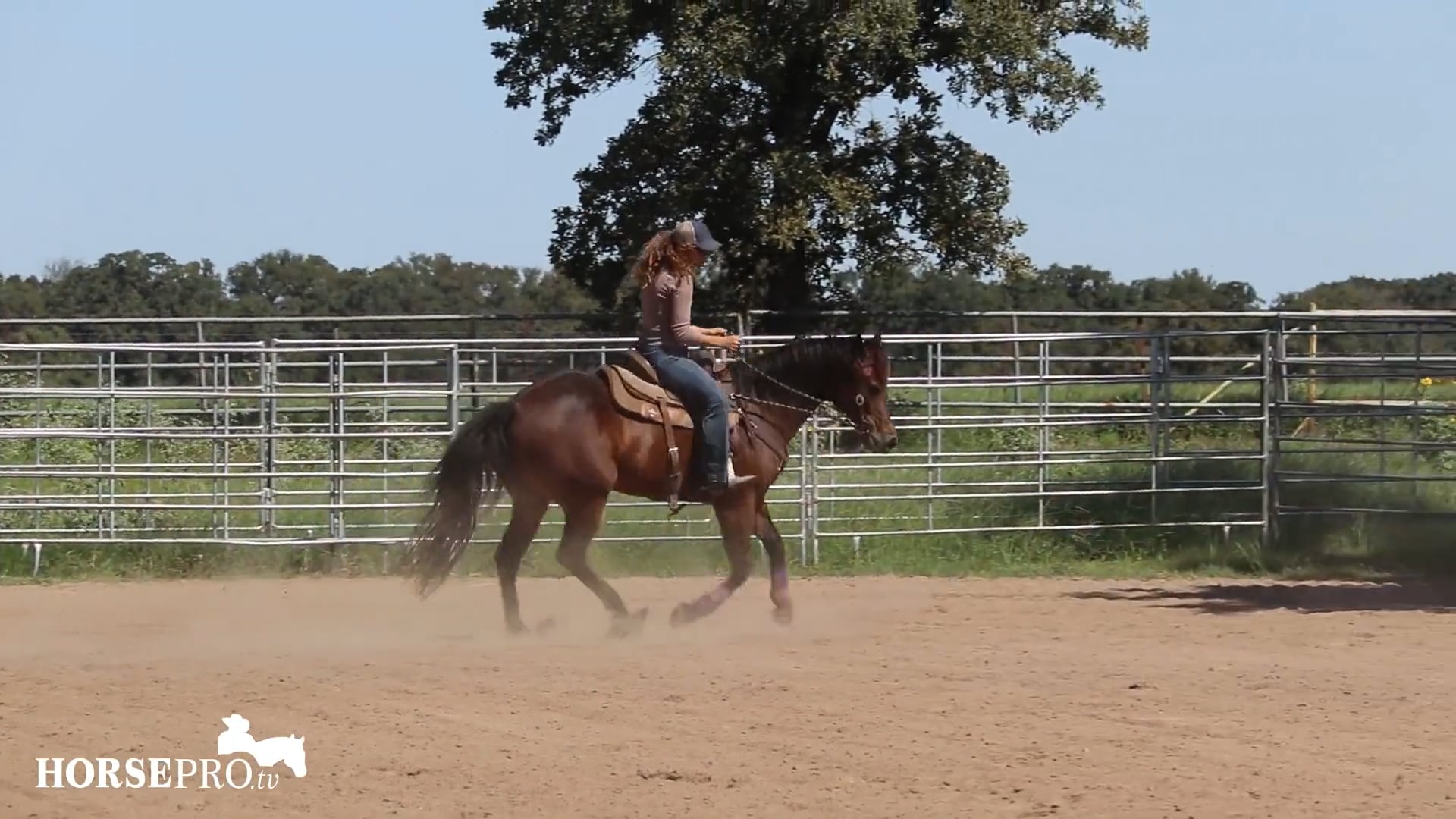 Making a Horse More Assertive on the Pattern