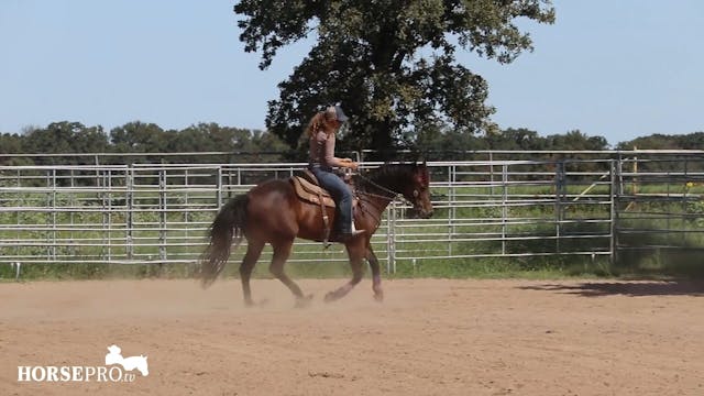 Making a Horse More Assertive on the ...