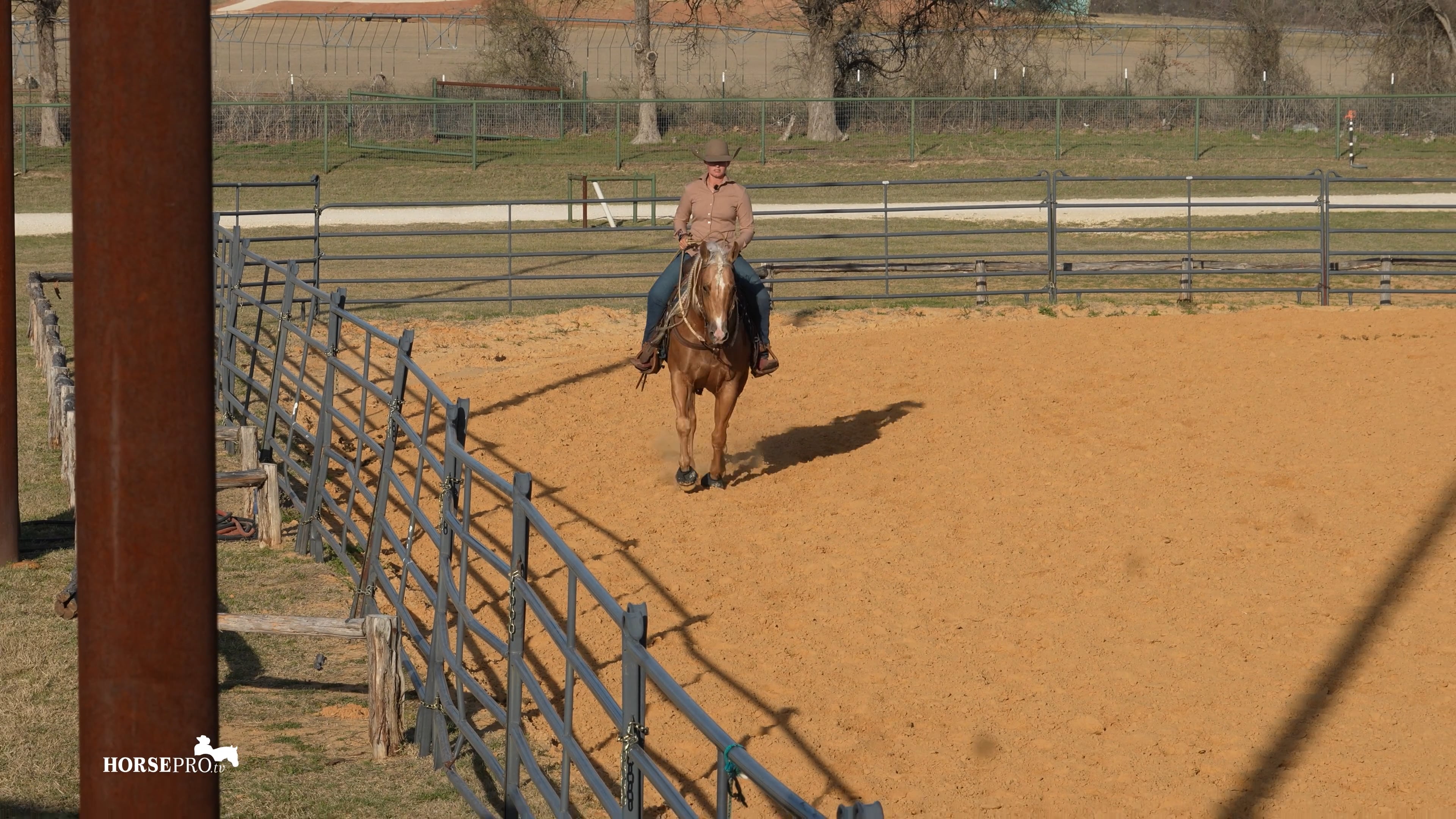 Episode 4: Getting a Horse Ready to Show Away from Home