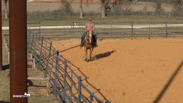 Episode 4: Getting a Horse Ready to S...