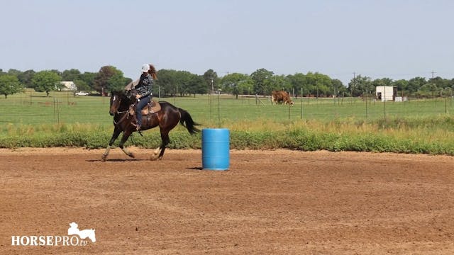 Ashley Working Halo